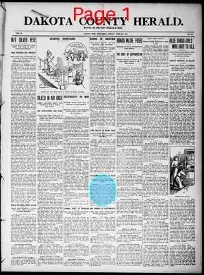 Page thumbnail for Dakota County Herald