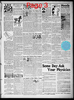 Page thumbnail for Dakota County Herald