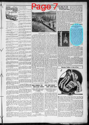 Page thumbnail for The North Platte Semi Weekly Tribune