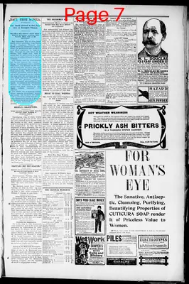 Page thumbnail for The Nebraska Advertiser