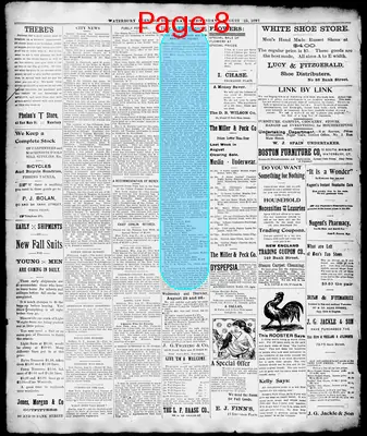 Page thumbnail for Waterbury Democrat