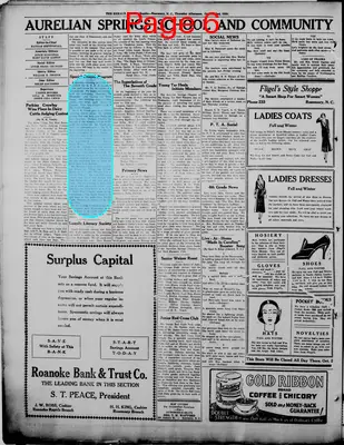 Page thumbnail for The Herald Of The Twin Cities, Roanoke Rapids, Rosemary
