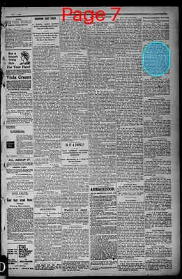 Page thumbnail for The Nebraska Independent