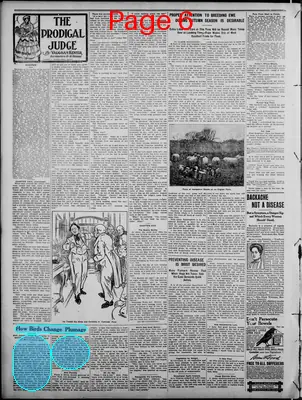 Page thumbnail for The Loup City Northwestern