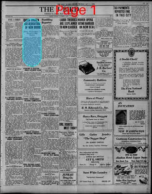 Page thumbnail for The "J" Bird