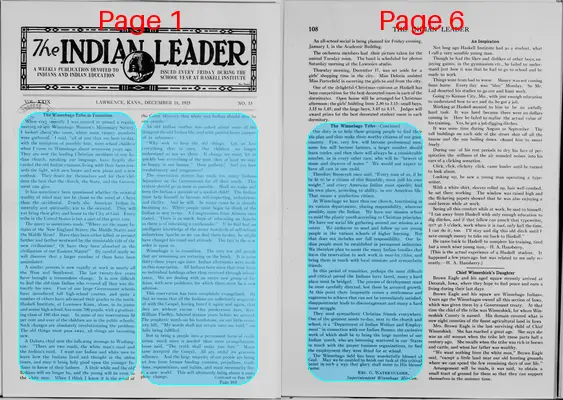 Page thumbnail for The Indian Leader