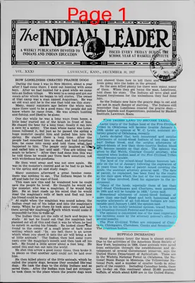 Page thumbnail for The Indian Leader