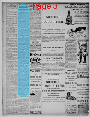 Page thumbnail for Grand Rapids Morning Telegram