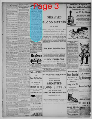 Page thumbnail for Grand Rapids Morning Telegram