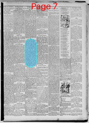 Page thumbnail for The Mitchell Capital