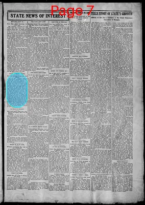 Page thumbnail for Turner County Herald
