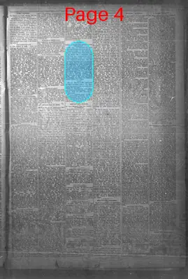 Page thumbnail for The Warner Sun
