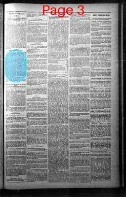 Page thumbnail for The Warner Weekly Sun