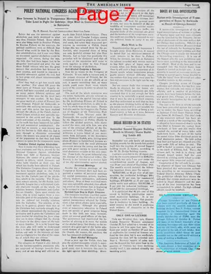 Page thumbnail for The American Issue