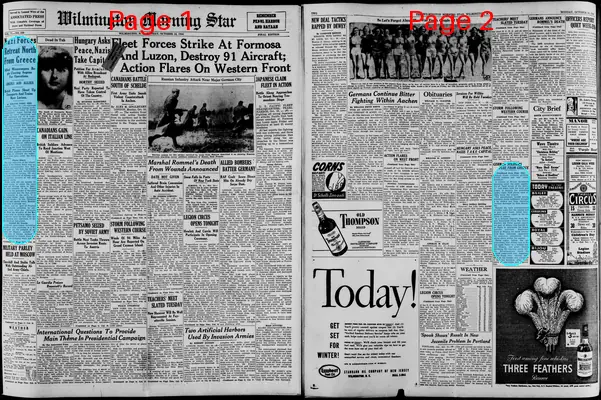 Page thumbnail for The Wilmington Morning Star