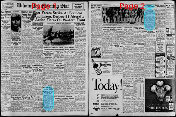 Page thumbnail for The Wilmington Morning Star
