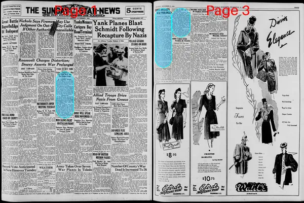 Page thumbnail for The Wilmington Morning Star