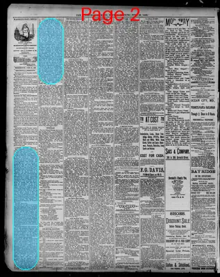 Page thumbnail for The Washington Critic