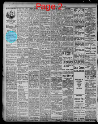Page thumbnail for The Washington Critic
