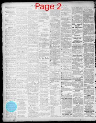 Page thumbnail for The Washington Critic