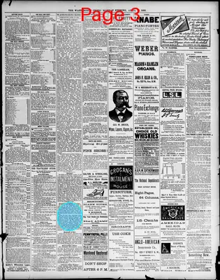 Page thumbnail for The Washington Critic