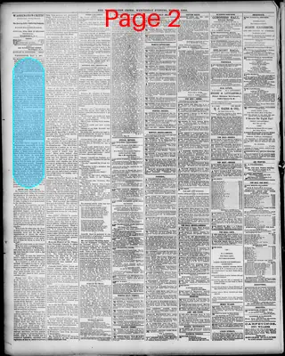 Page thumbnail for The Washington Critic