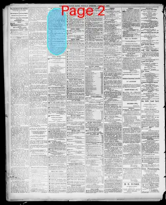 Page thumbnail for The Washington Critic