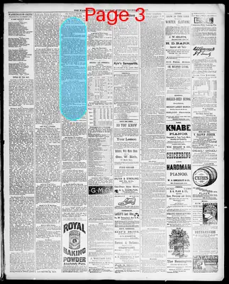 Page thumbnail for The Washington Critic