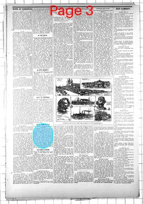 Page thumbnail for Grand Rapids Herald Review