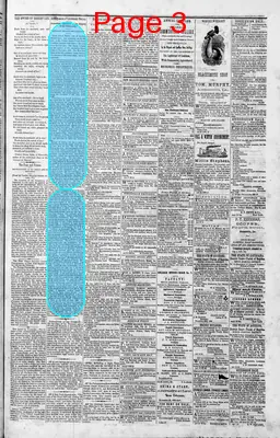 Page thumbnail for The Louisiana Democrat