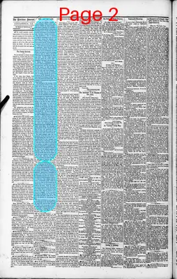 Page thumbnail for The Louisiana Democrat
