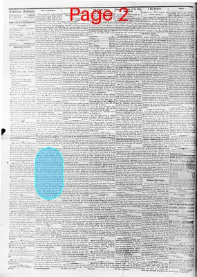Page thumbnail for The Louisiana Democrat