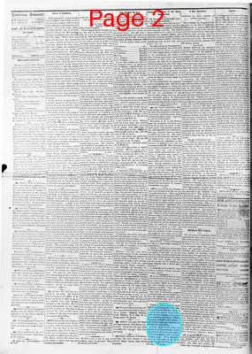 Page thumbnail for The Louisiana Democrat