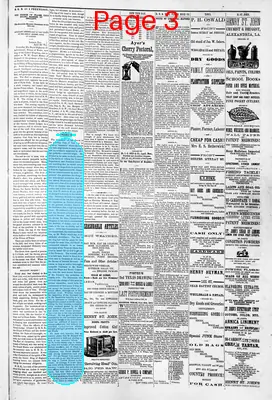 Page thumbnail for The Louisiana Democrat