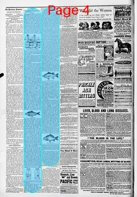 Page thumbnail for The Louisiana Democrat