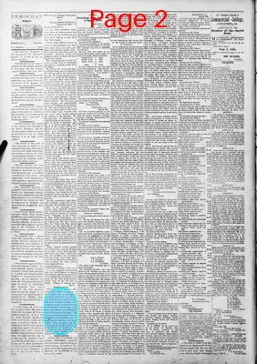 Page thumbnail for The Louisiana Democrat