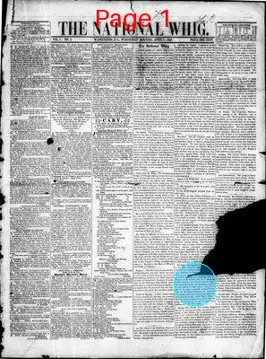 Page thumbnail for The National Whig