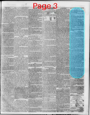 Page thumbnail for The Daily Union