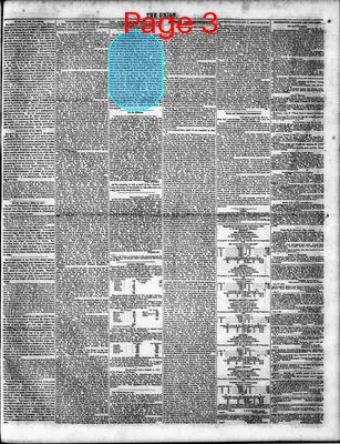 Page thumbnail for The Daily Union