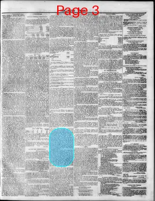 Page thumbnail for The Daily Union