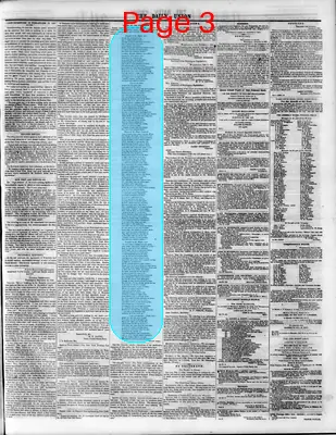 Page thumbnail for The Daily Union
