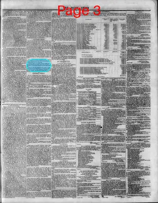 Page thumbnail for The Daily Union