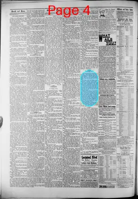 Page thumbnail for Baptist Courier