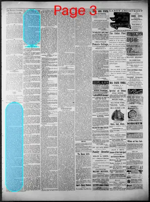 Page thumbnail for Baptist Courier