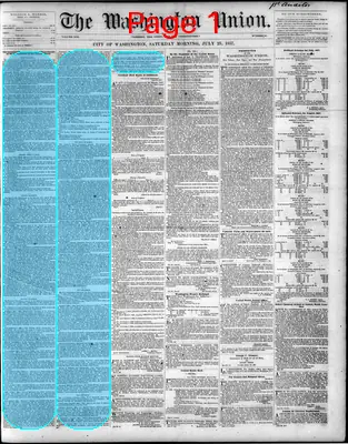 Page thumbnail for The Washington Union