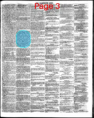 Page thumbnail for The Washington Union