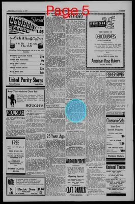 Page thumbnail for The Western News