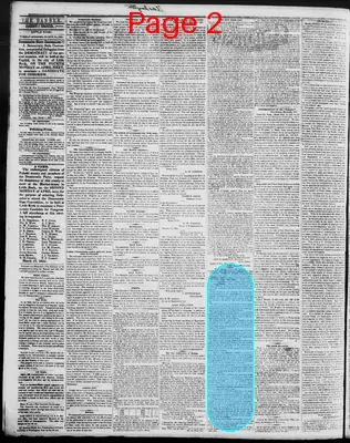 Page thumbnail for Arkansas Democratic Banner