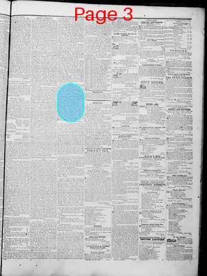 Page thumbnail for The Arkansas Banner