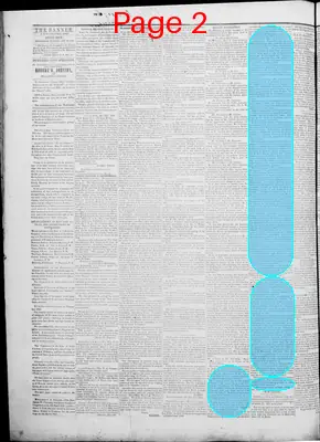 Page thumbnail for The Arkansas Banner
